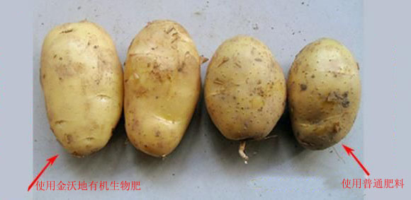 ȈD